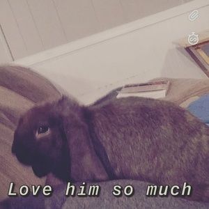 Meet your Posher, Evelyn